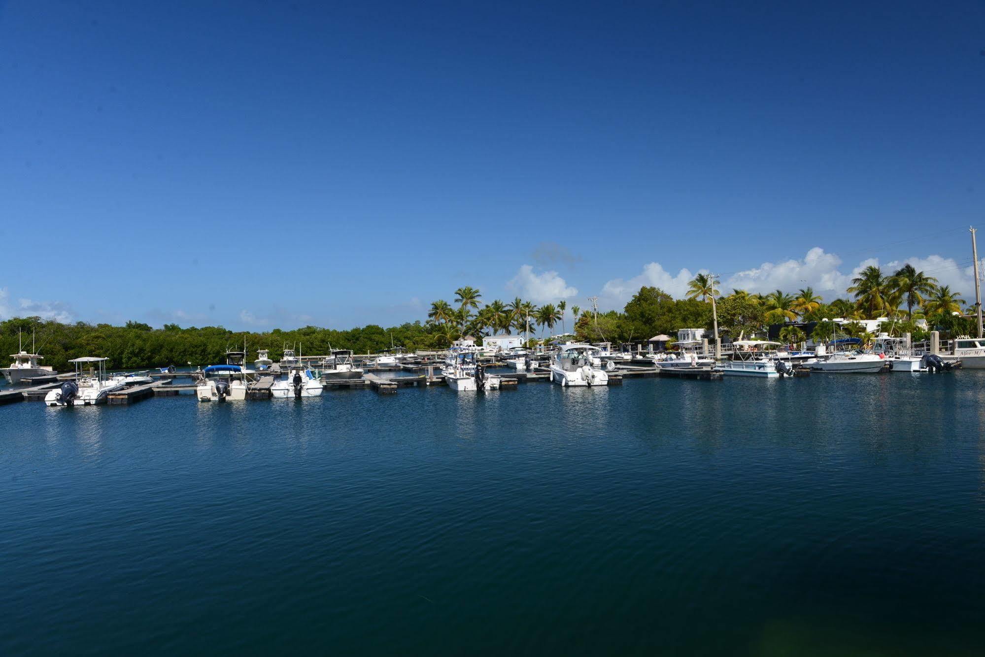 Sunshine Key Rv Resort & Marina Big Pine Key Exterior foto